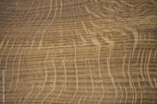 wood texture. oak radial. core rays