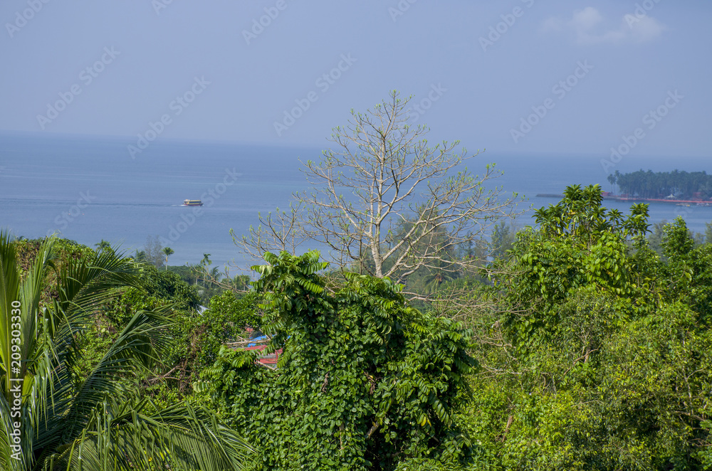 Beautiful landscape of tropical trees Port Blair India
Beautiful landscape of tropical trees Port Blair India