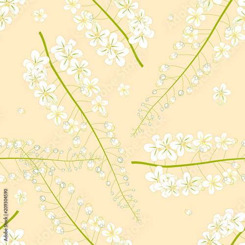 White Cassia Fistula - Golden Shower Flower on Yellow Background