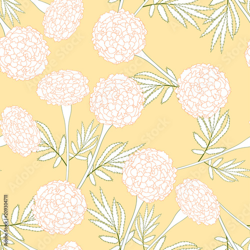Fototapeta Naklejka Na Ścianę i Meble -  Yellow Marigold on White Background