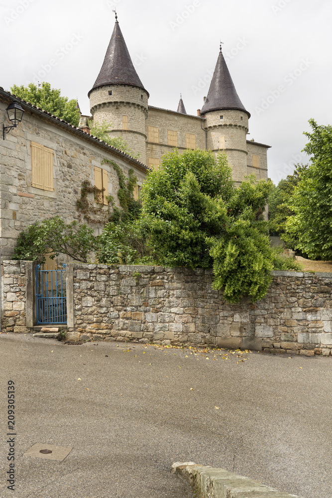 Obraz premium Das Schloss von Chambonas in der Ardeche, Südfrankreich