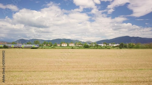 Campo di grano con treno in transito photo