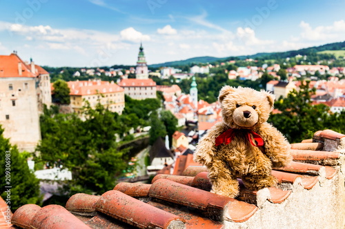 Teddy bear Dranik in Cesky Krumlov