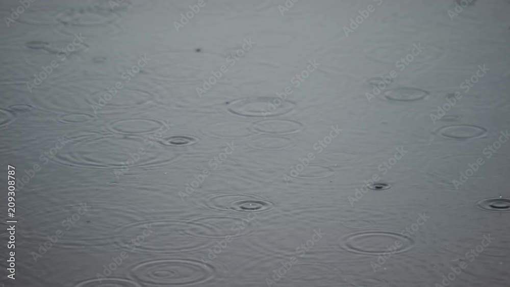 Rain Drops Rain Drops