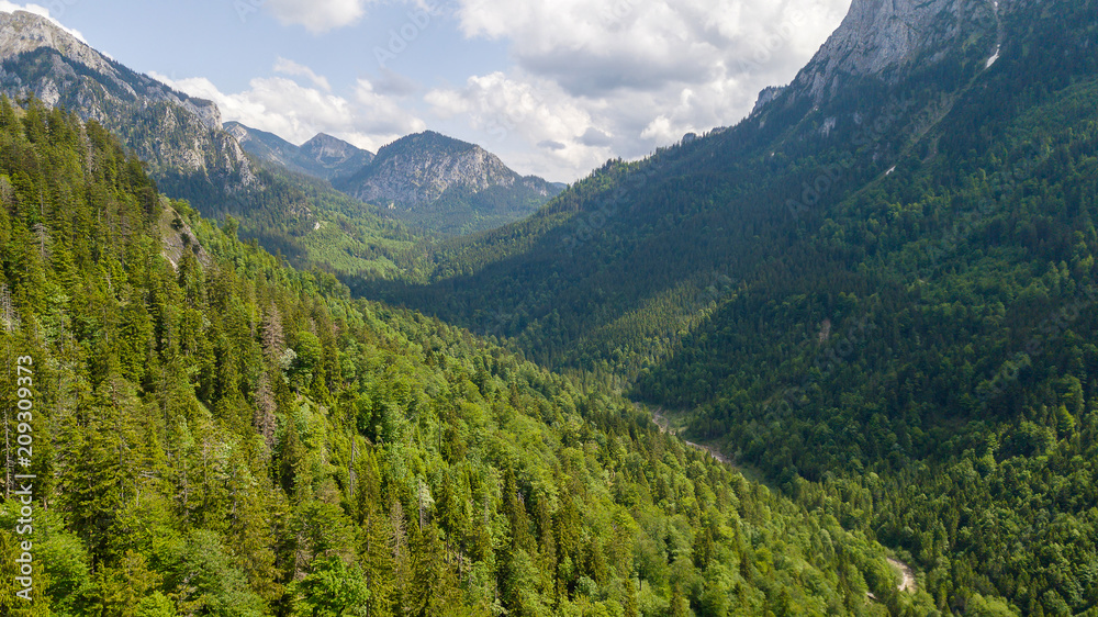 View from a height to a mountain range with coniferous trees