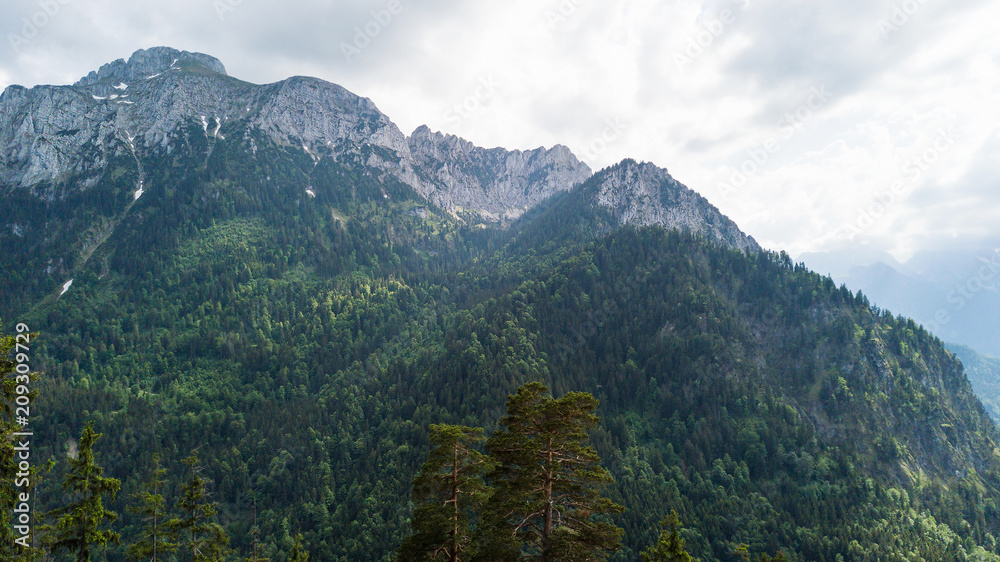 Obraz premium View from a height to a mountain range with coniferous trees
