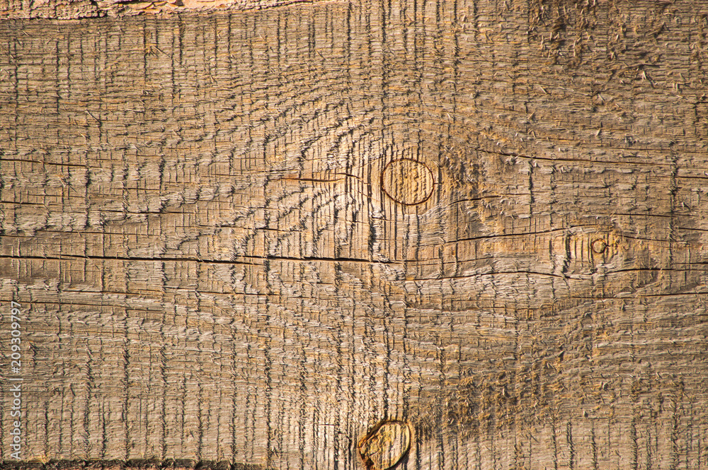 Fototapeta premium Wooden plank