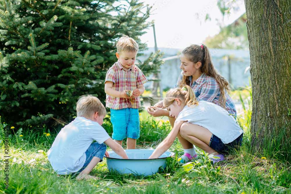 Fototapeta premium Four enthusiastic children enjoying and playing with raw fish in basin outdoor in sunny summer day. Childhood, friendship and adventure concept. Cheerful fuss.