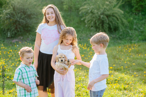 A group of four children playing and caress little puppy dog gold spaniel in summer glade outdoor. photo