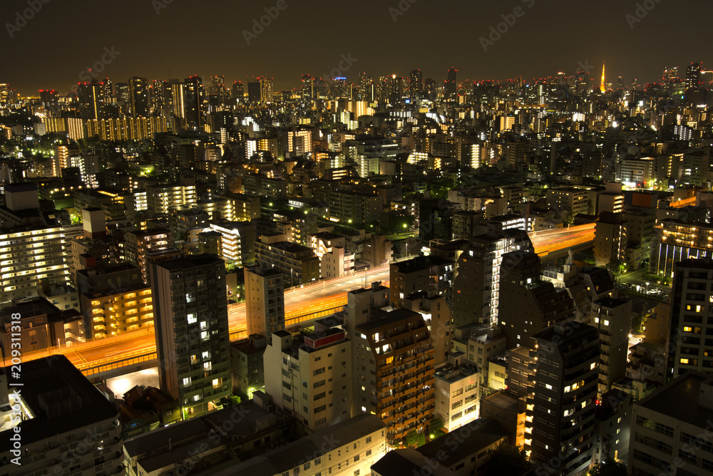 Obraz premium 東京都市部の夜景