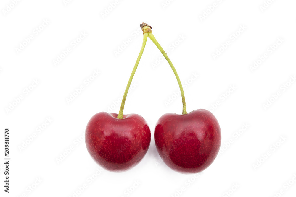 isolated cherries in white background isolated cherries in white background