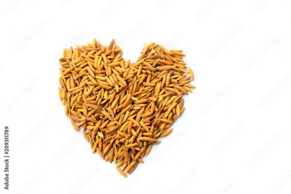 Paddy heart shape On a white background, yield of Thai farmers. Paddy heart shape On a white background, yield of Thai farmers.