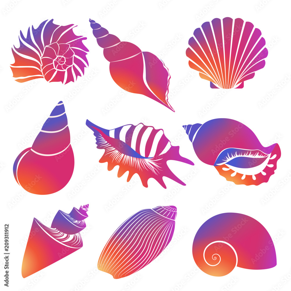 Vector fresh modern gradient sea shells and pearl seashell silhouettes isolated on white background. - obrazy, fototapety, plakaty 