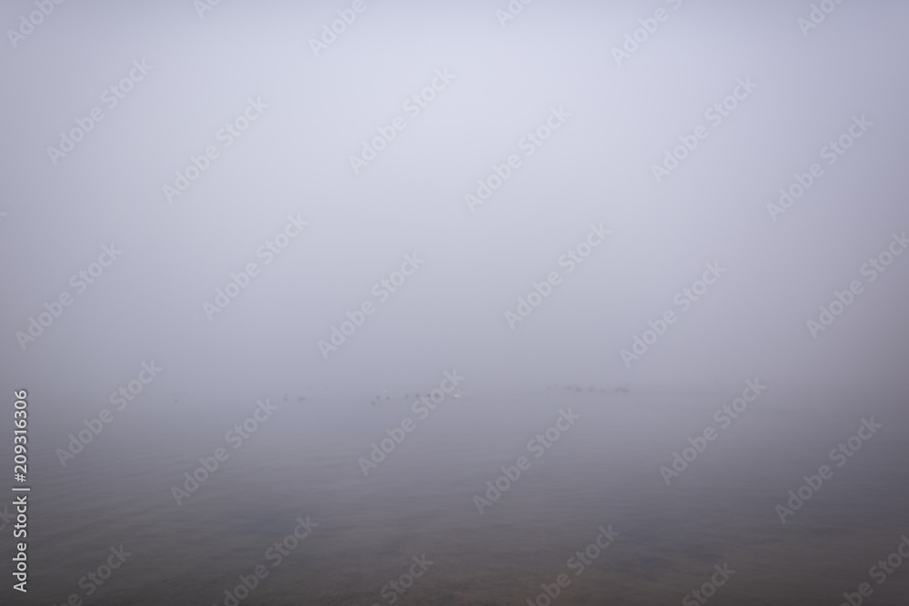 See im Nebel 3 See im Nebel 3