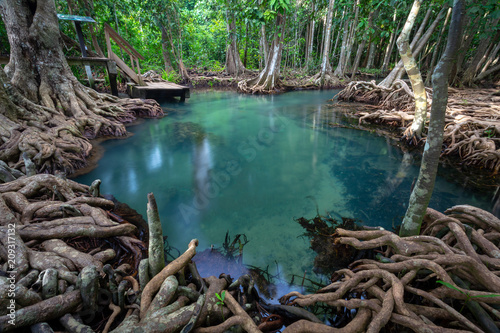 Ta Pom Klong Songnam  Krabi Thailand