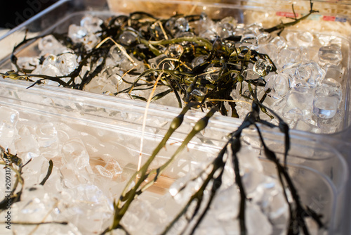 Cold ice briquets with algae in restaurant photo