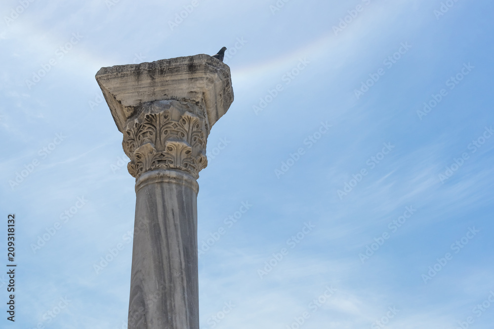 Ancient antique Greek column against the blue sky with a sitting dove, look up