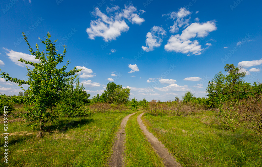 rut road in steppe