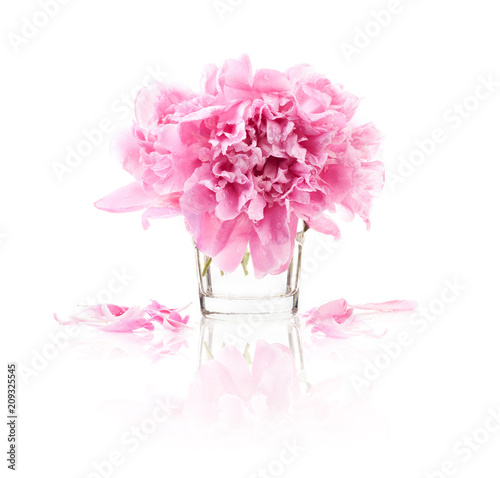 Fototapeta Naklejka Na Ścianę i Meble -  Peony flowers isolated on white