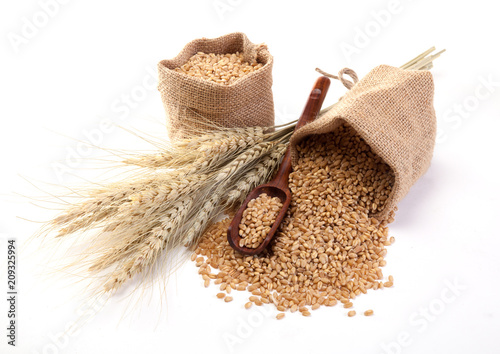 Quadro su tela Wheat in sackcloth bags on the white background.