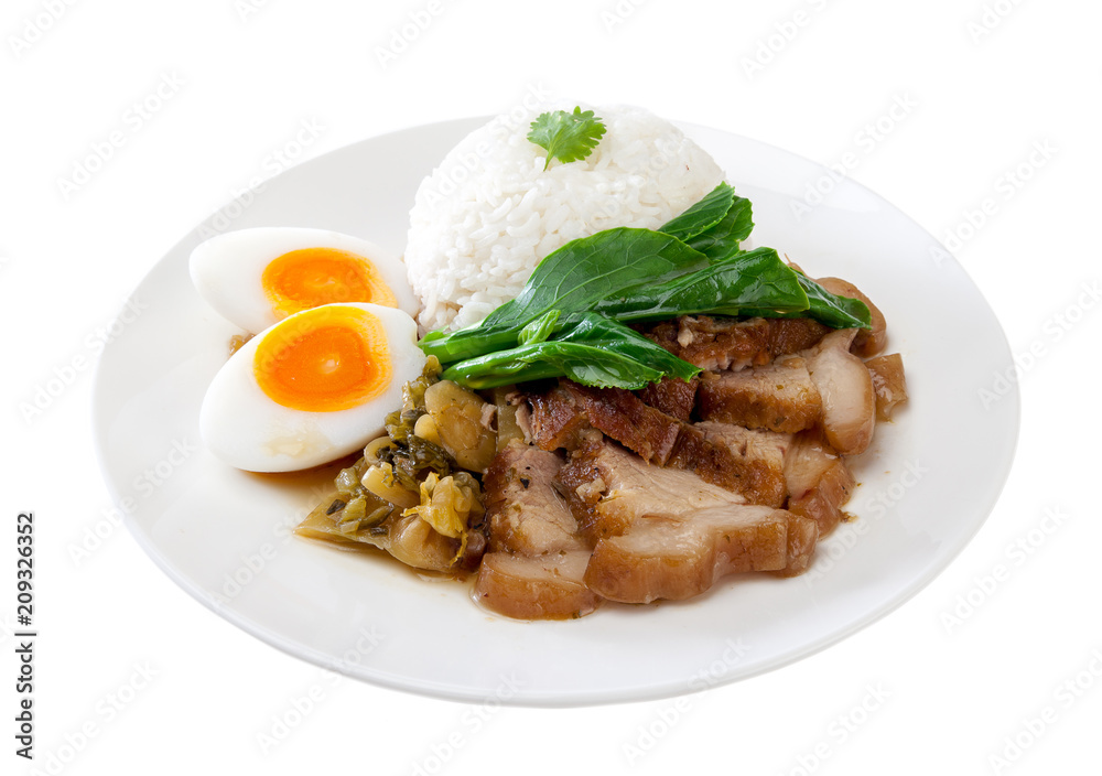 rice with pork leg rice with pork leg