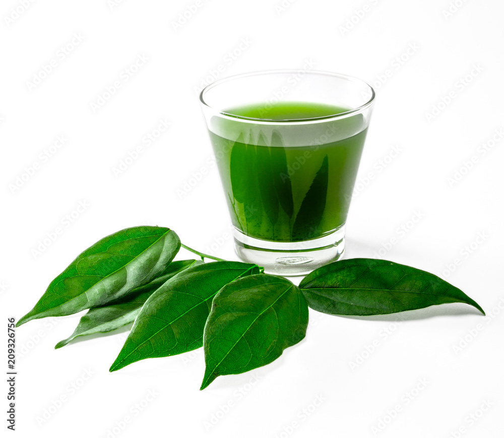 Chlorophyll bai-ya-nang (Tiliacora triandra) Chlorophyll bai-ya-nang (Tiliacora triandra)