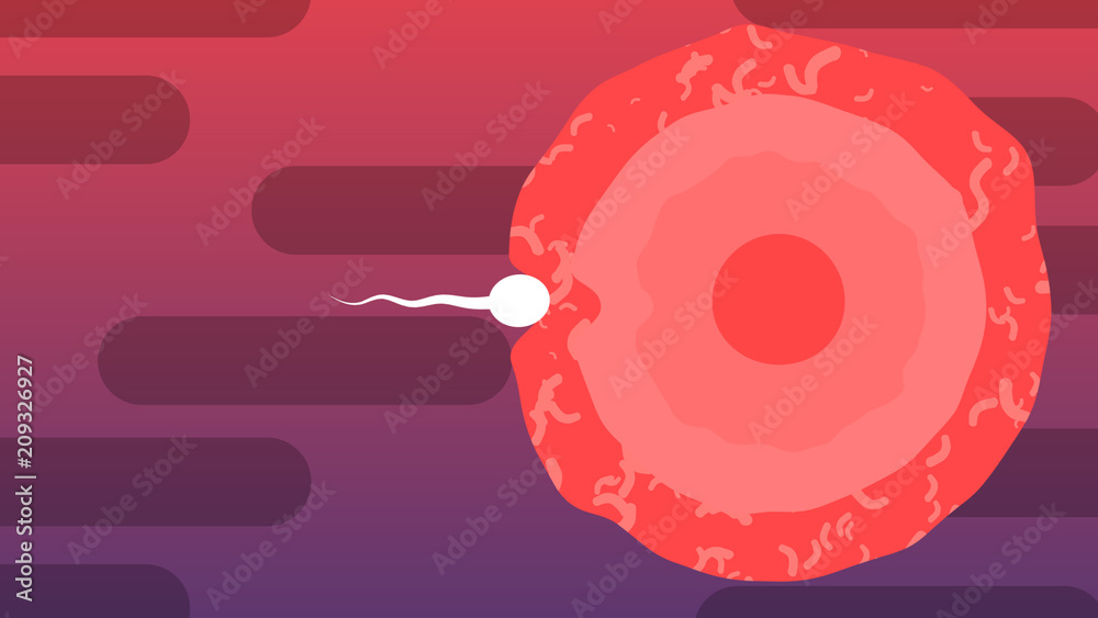 Cartoon of Smart Spermatozoid and Ovum Cartoon of Smart Spermatozoid and Ovum