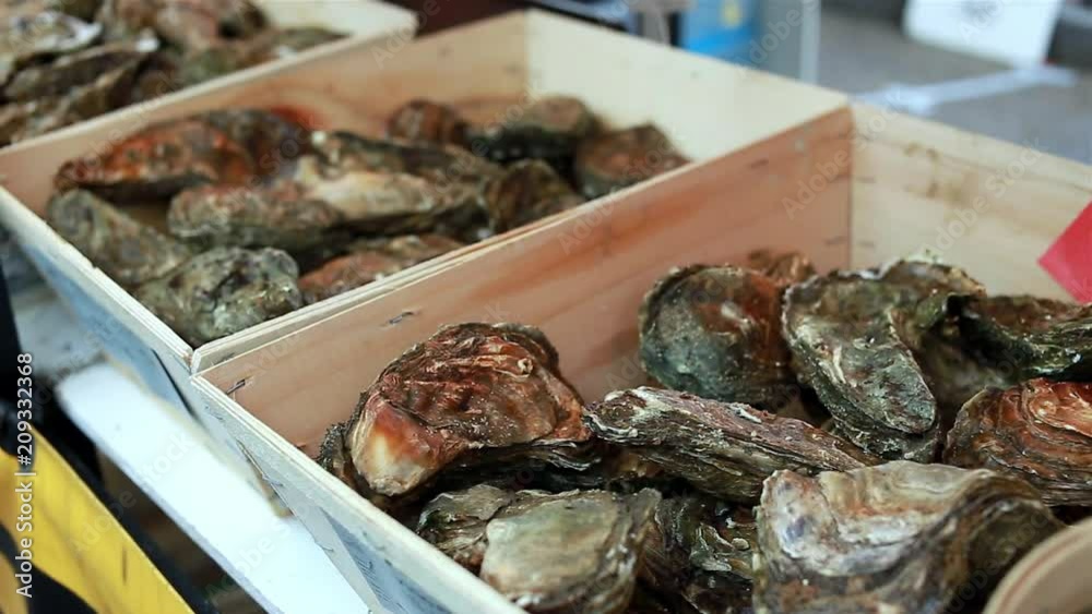 Variety of fresh oysters in wooden boxes on the shellfish counter at the fish market in Normandy, France. Seafood, typical food in coastal cities, fishing industry concept Variety of fresh oysters in wooden boxes on the shellfish counter at the fish market in Normandy, France. Seafood, typical food in coastal cities, fishing industry concept
