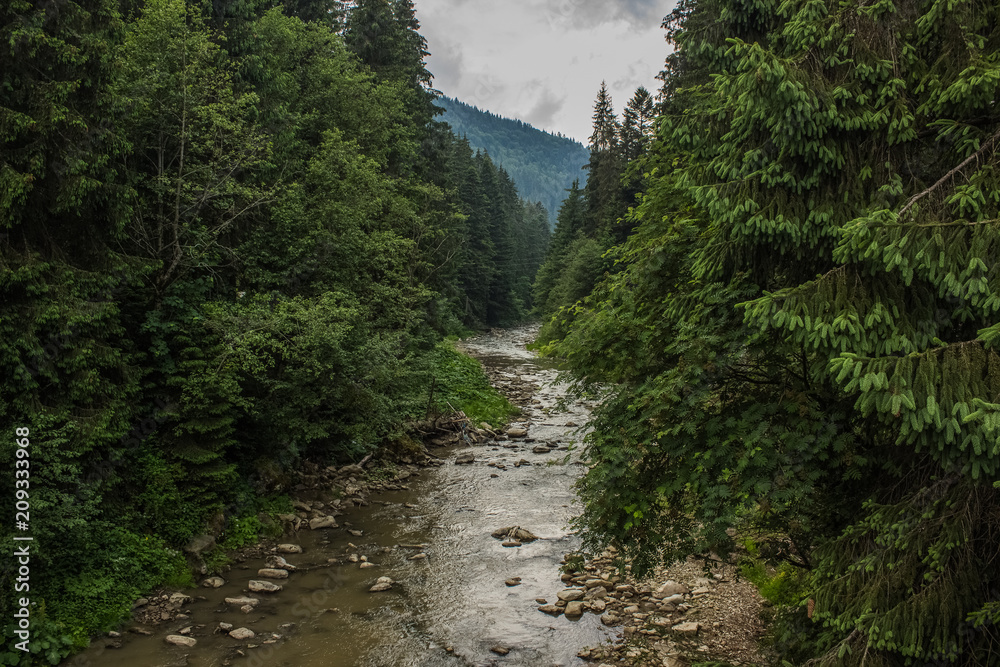 mountain river between forest nature landscape environment mountain river between forest nature landscape environment
