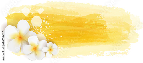 Brushed backgrounds with flowers.