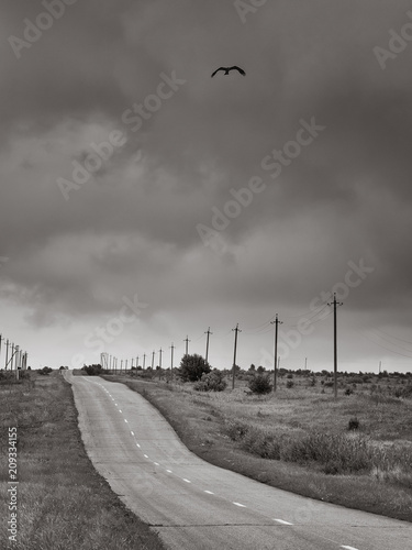 Country road.Long road race night. photo