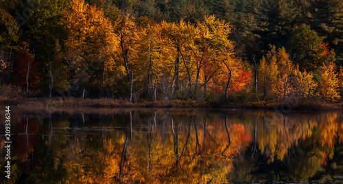 Golden Autumn on the shore of the lake. USA. Maine. 
