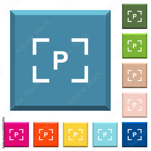 Camera program mode white icons on edged square buttons