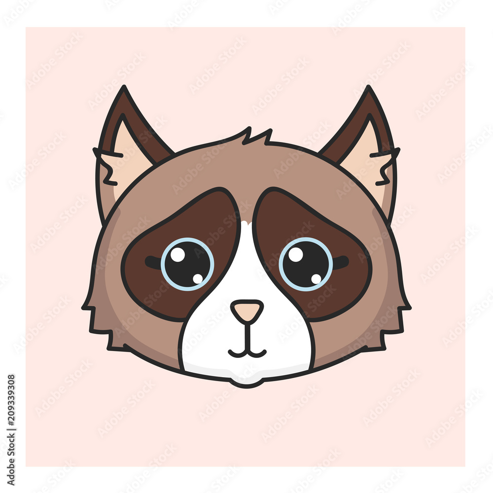cat in kawaii korean and japanese style cat in kawaii korean and japanese style
