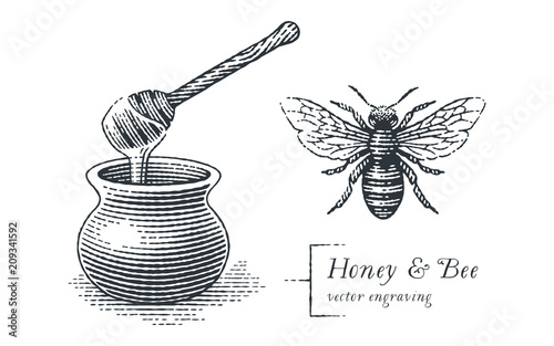 Honey pot and bee. Hand drawn engraving style illustrations.
