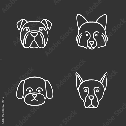 Dogs breeds chalk icons set