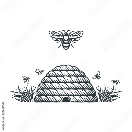 Beehive and bees.Hand drawn engraving style illustrations.