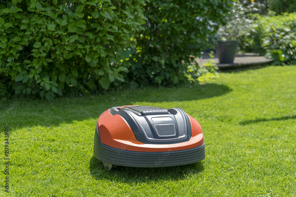 Roboterrasenmäher im Garten Roboterrasenmäher im Garten