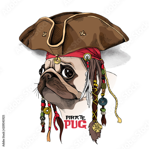 Portrait of a Pug in Pirate hat, bandana and with a dreadlocks. Vector illustration.