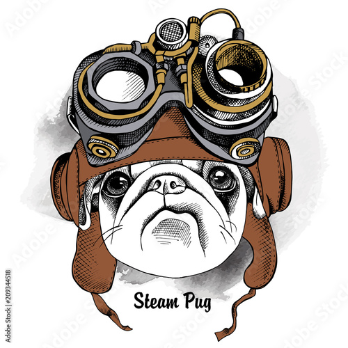 Dog Pug portrait in the Steampunk helmet. Vector illustration.