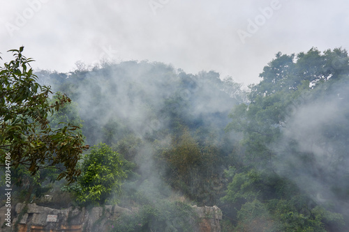 Smoke of fire between trees on mountain