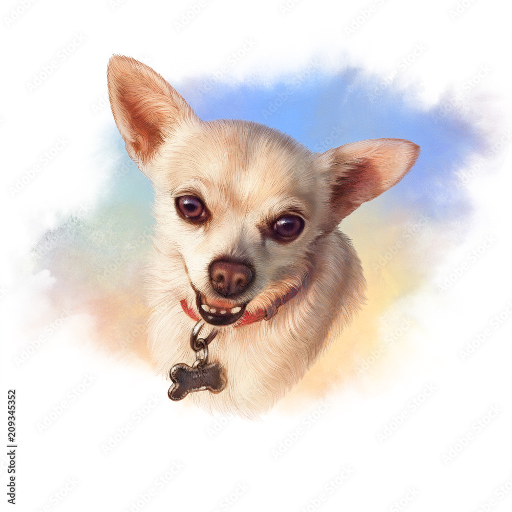 The Chihuahua is popular mini dog. Head of a toy terrier on watercolor background. Watercolor Animal collection: Dogs. Cute realistic puppy Portrait - Hand Painted Illustration of Pet. Design template