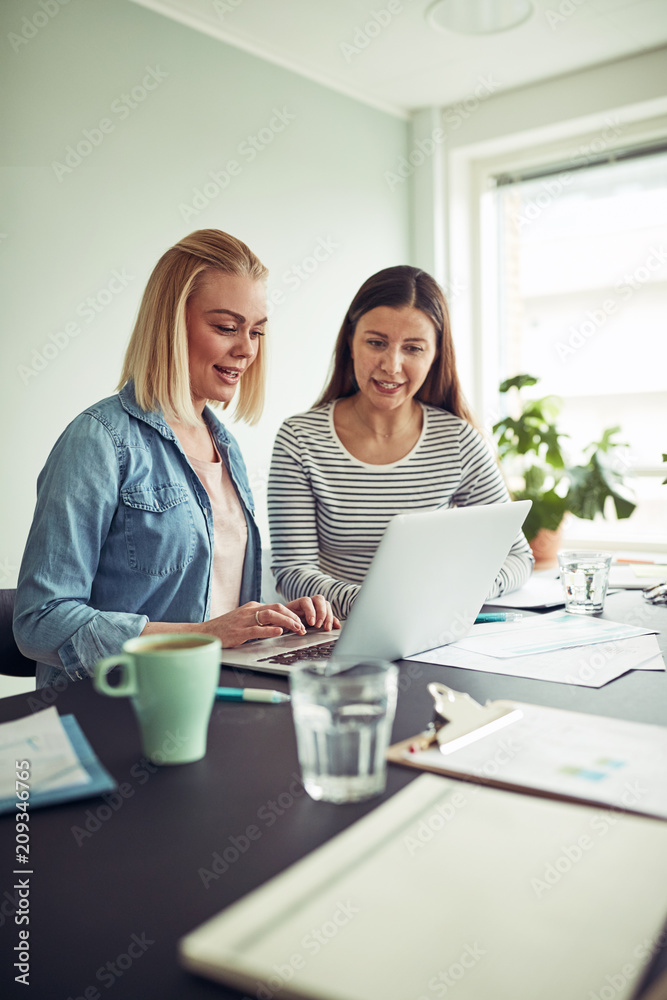 Young businesswomen working together on a laptop in an office Young businesswomen working together on a laptop in an office