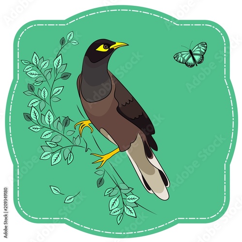 bird on a branch hunting a butterfly