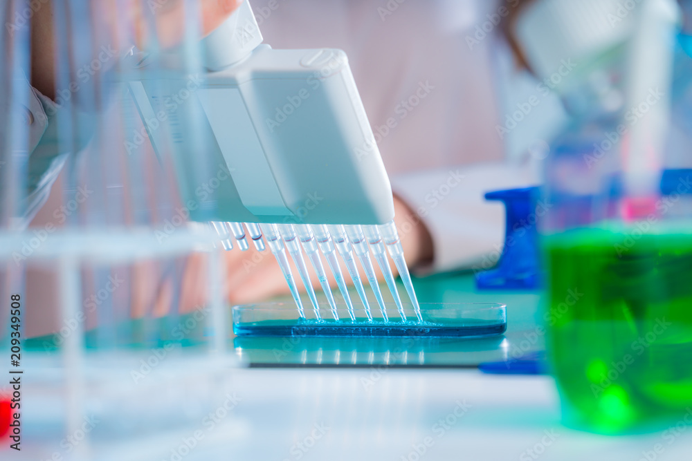 Microbiological laboratory scientist woman with multi channel pipette going DNA test Microbiological laboratory scientist woman with multi channel pipette going DNA test