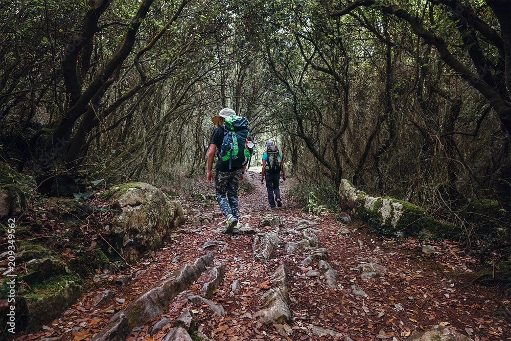 Two backpackers walk in fairy tale forest