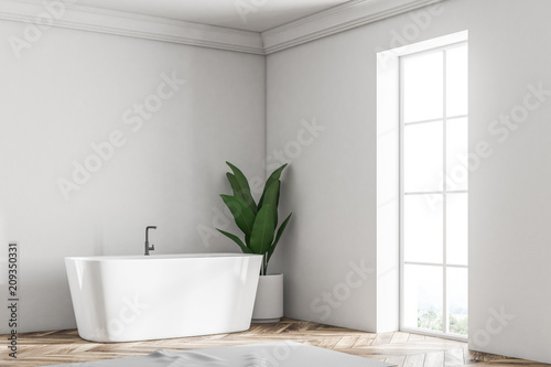 White loft bathroom corner, tub and plant