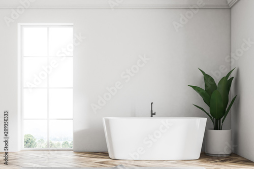 White loft bathroom interior  tub and plant