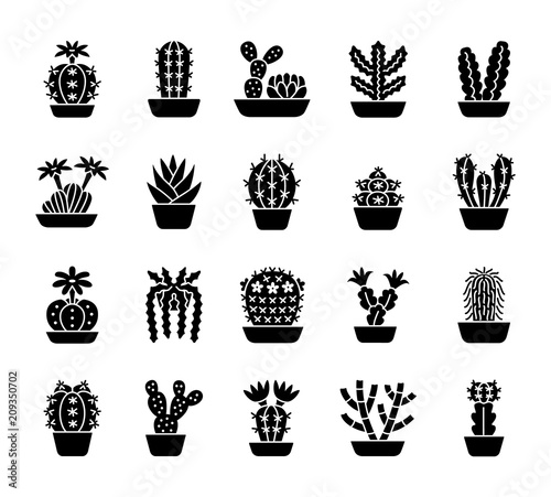Cactuses. Desert plants for terrariums and rock gardens. Black flat icon set.