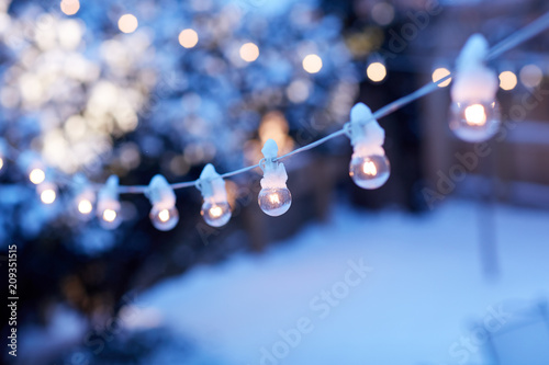 Christmas party lights in a winter garden